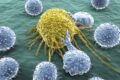 Virus sperimentale che uccide il cancro: al via i test sull'uomo.