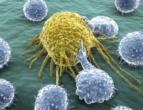 Virus sperimentale che uccide il cancro: al via i test sull’uomo.